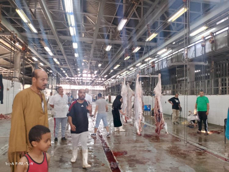 الزراعة ذبح أكثر من 20 ألف أضحية بالمجازر الحكومية خلال أول يومين