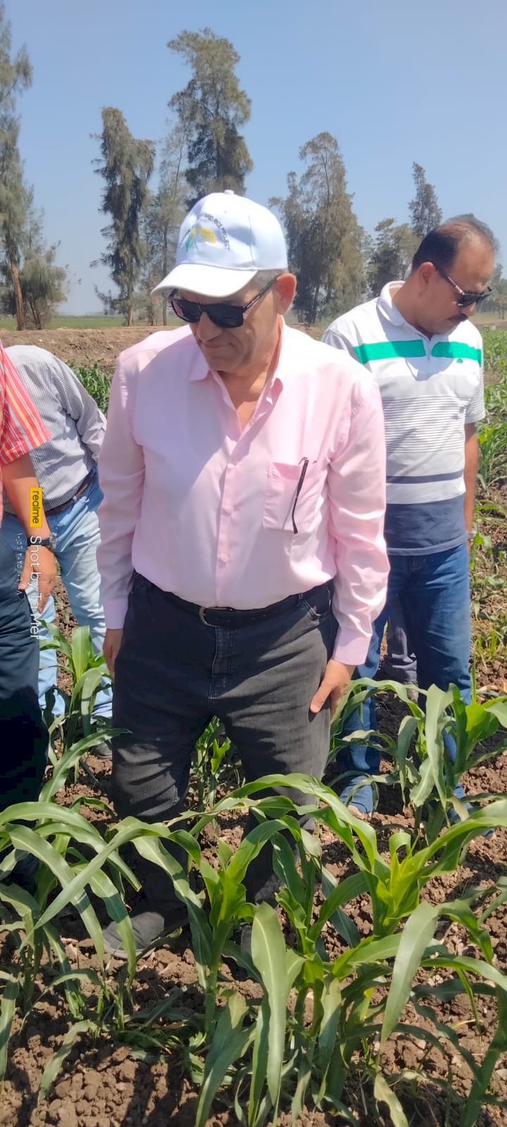 "الزراعة" تتابع برامج إكثار تقاوي المحاصيل الحقلية بمحطة بحوث الجميزة