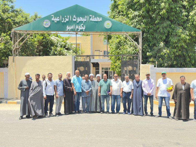 الزراعة تتفقد الأنشطة الإرشادية ودعم المزارعين بمحطة البحوث بكوم امبو