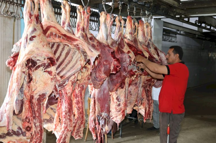 الأوقاف الخميس القادم بدء توزيع الدفعة الأولى من صكوك الاضاحي