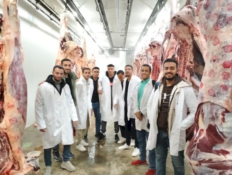 صندوق التأمين على الماشية يستقبل طلاب زراعة عين شمس بالنوبارية