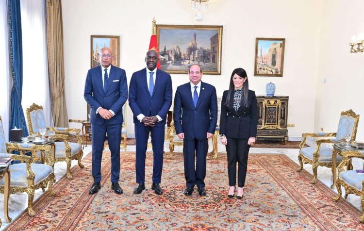 السيسي يستقبل الرئيس التنفيذي لمؤسسة التمويل الدولية