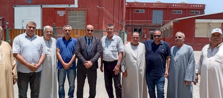 توريد محصول الياسمين لمصانع شبرابلوبة بالغربية