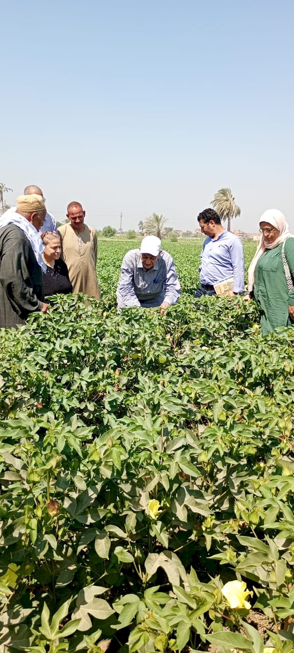 الزراعة تنفذ 453 ندوة إرشادية و تواصل تقديم الدعم الفني بمختلف المحافظات
