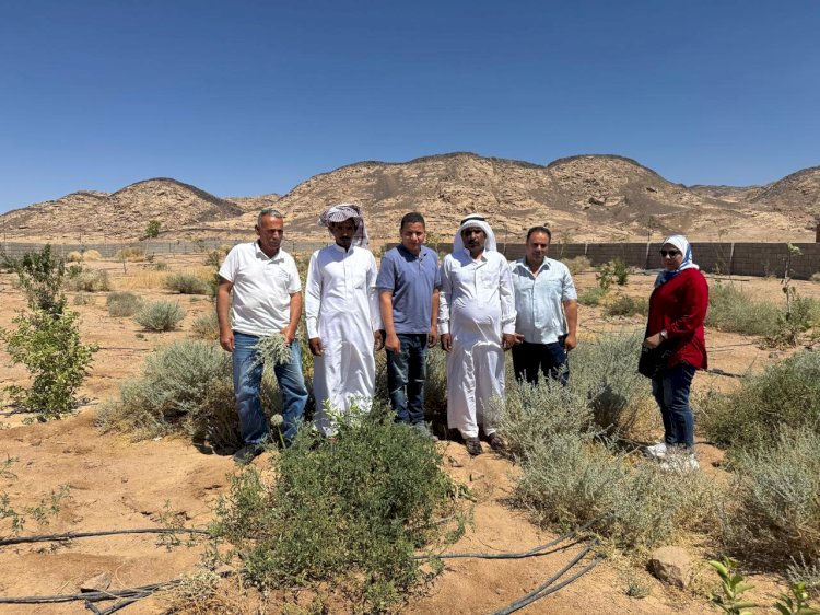 بحوث الصحراء يطلق المرحلة الثانية من مشروع التنمية الزراعية بسيناء