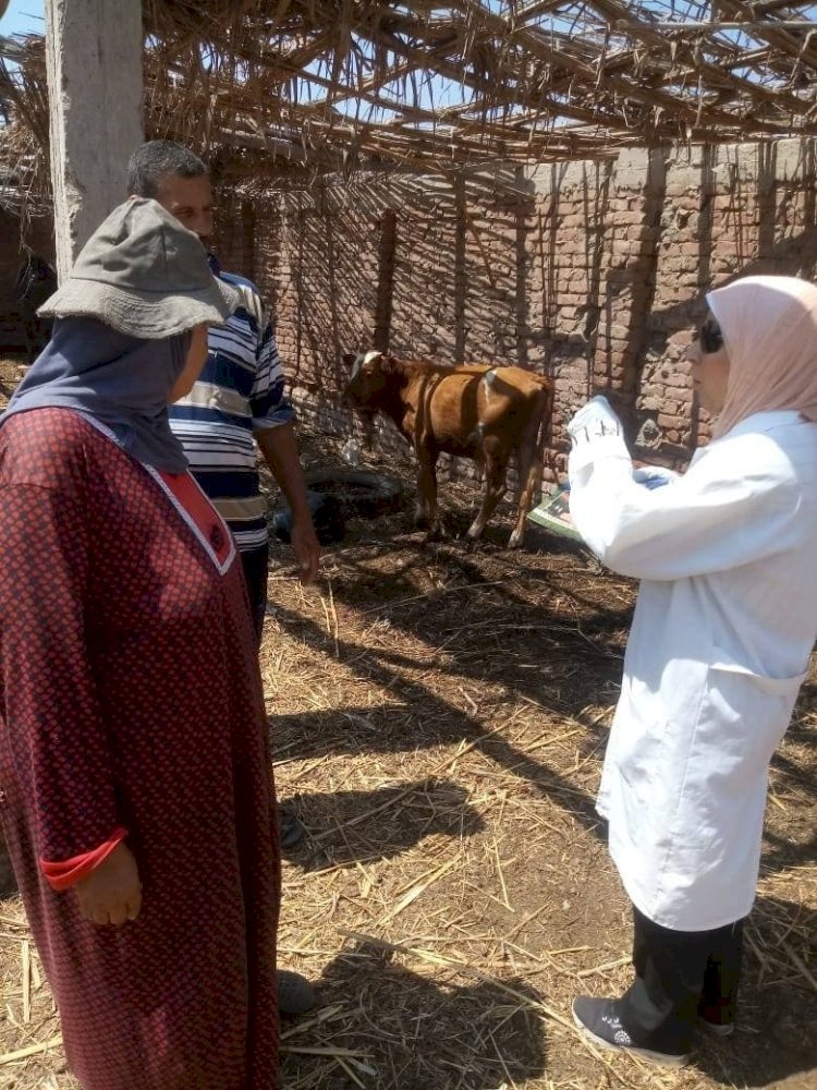 "الزراعة" تواصل حملات التقصي ومتابعة الحالة الصحية للخيول وأسواق الماشية في ثلاثة محافظات