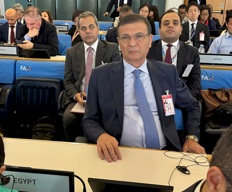 انتخاب مصر بالإجماع عضوًا باللجنة العامة لمؤتمر روما