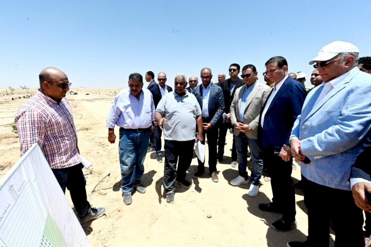 وزيرا الزراعة والإسكان يتفقدان محطة التجارب البحثية لتحلية مياه البحر بالعلمين