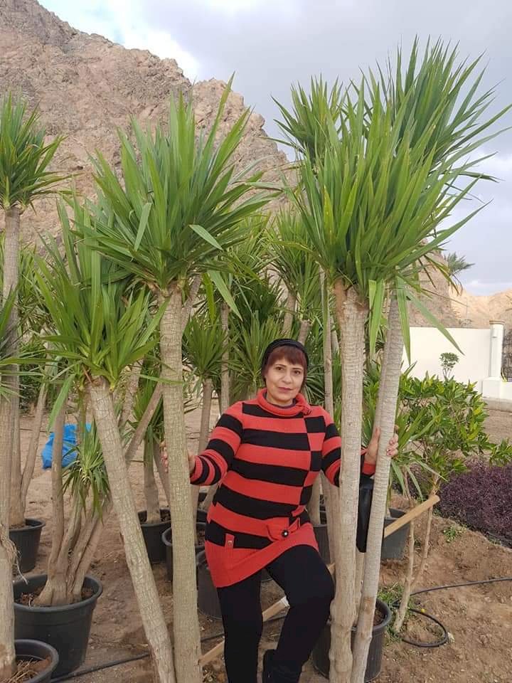 الفنانة ندا حناوي تهنيء جمهورها الحبيب بثورة 30 يونية وعيد عاشوراء