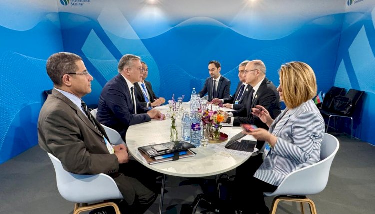 وزير البترول يلتقي وزير الطاقة بأذربيجان لبحث التعاون في مجال البترول