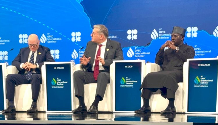 وزير البترول يشارك في جلسة مسارات لمشهد طاقة مرن علي هامش ندوة اوبك