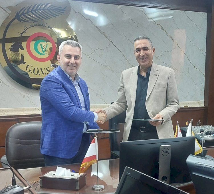 تعاون بين الخدمات البيطرية والثروة الحيوانية اللبنانية لتصدير الأبقار الحية