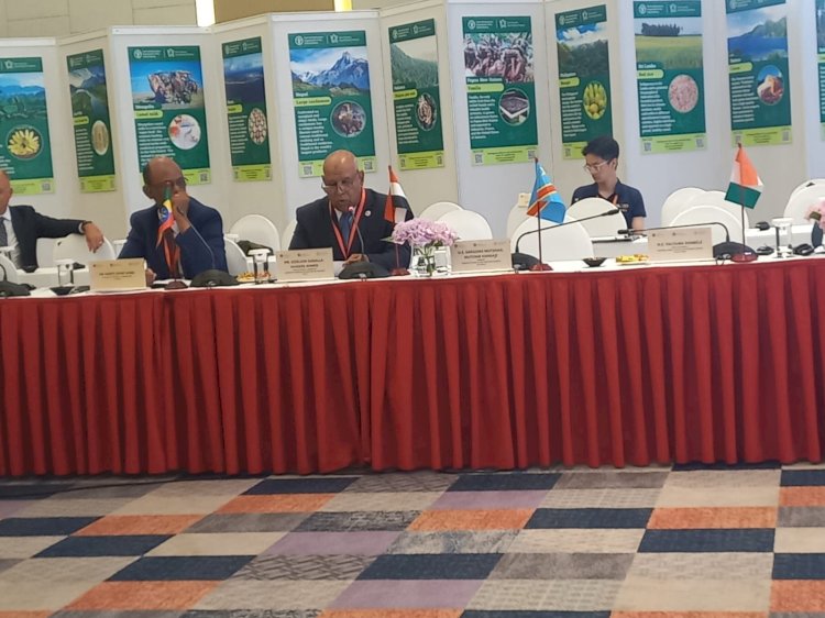 الزراعة تستعرض تجربة مصر للنهوض بإنتاج نخيل التمر امام المؤتمر الدولي للفاو