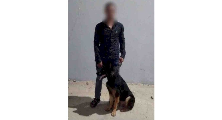 حقيقة فيديو قيام مواطن بإصطحاب كلب لممارسة أعمال البلطجة بالإسماعيلية