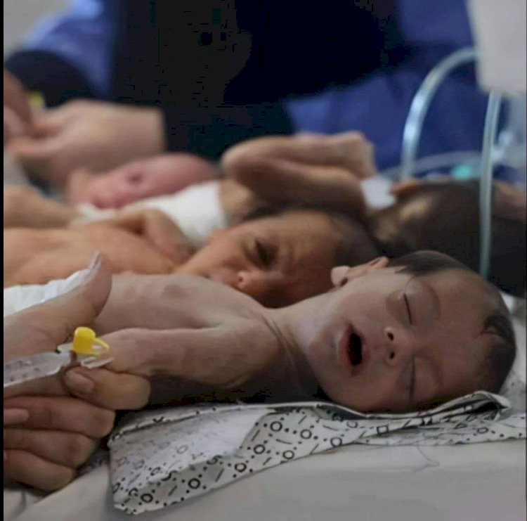 إنكار المجاعة ترامب يعطي نتنياهو الضوء الأخضر لمزيد من الإبادة والتجويع بغزة