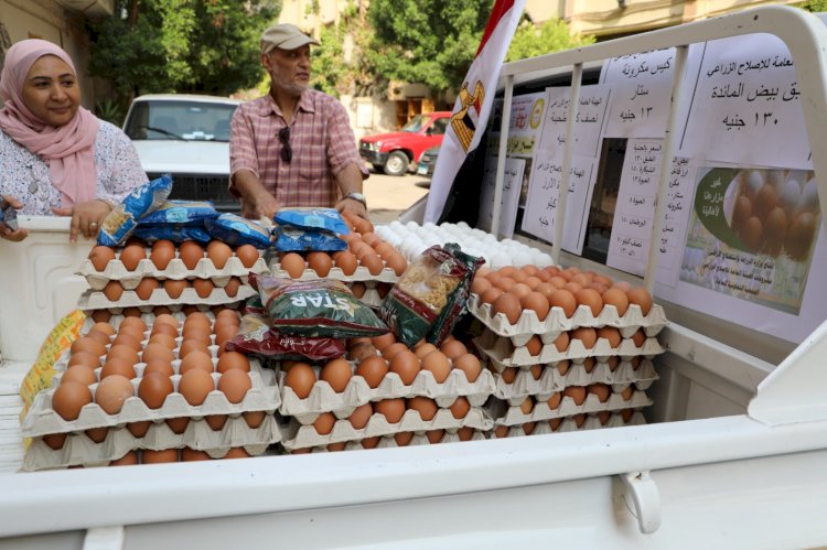 الزراعة تطلق قافلة منافذ متحركة بميادين القاهرة الكبرى