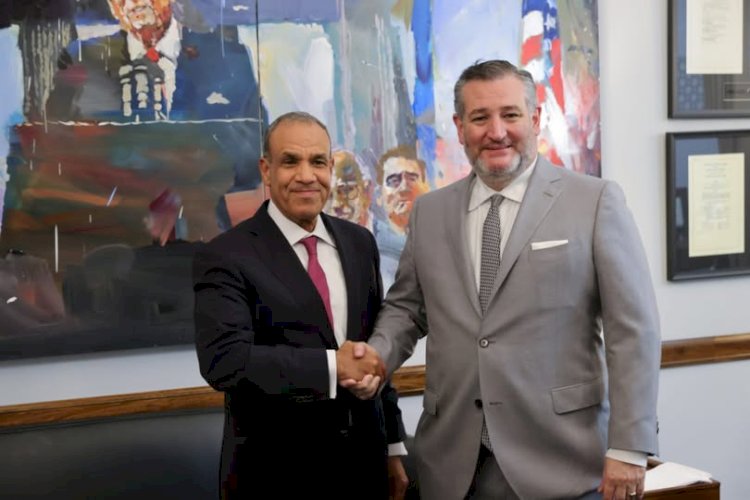 وزير الخارجية يلتقي السيناتور تيد كروز عضو لجنة العلاقات الخارجية بالشيوخ الأمريكي