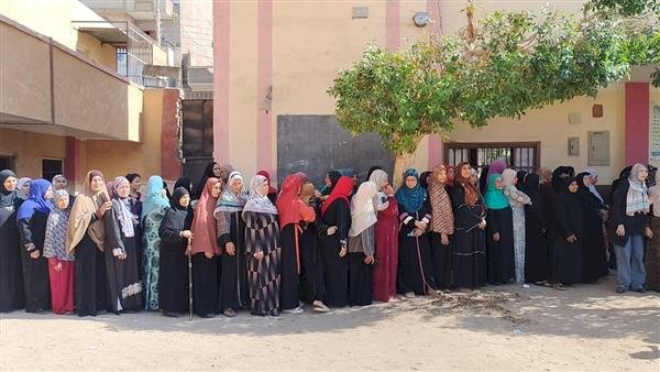 السيدات وكبار السن يتصدرون المشهد في انتخابات الشيوخ بالمنيا