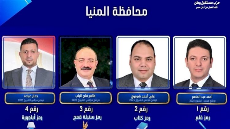 المؤشرات الأولية لنتائج انتخابات مجلس الشيوخ 2025 في المنيا
