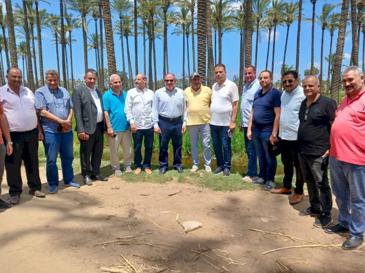 ننفرد بتفاصيل أكبر مصنع لتحويل قش الأرز إلي صناعة تحويلية لإنتاج الأثاث