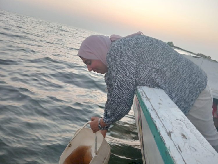 «جهاز حماية البحيرات» دعم بحيرة قارون بيرقات الجمبري لتعزيز خطط إحياء البحيرة