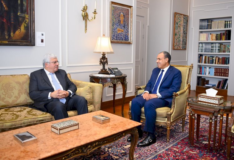 وزير الخارجية يستقبل وزير التعليم العالى والبحث العلمى