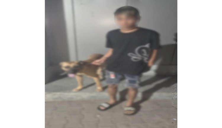 اعرف فيديو قيام مواطن بترويع الفتيات بكلب بالجيزة