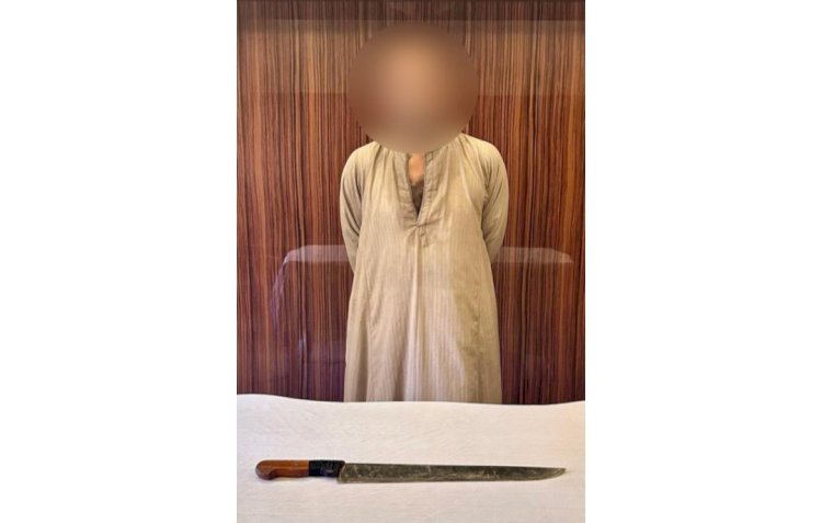 الخلافات العائلية وراء التلويح بالاسلحة بالقليوبية