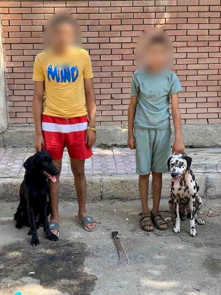 اعرف فيديو اطلاق عاطلين  كلبين على أخر بالأسكندرية