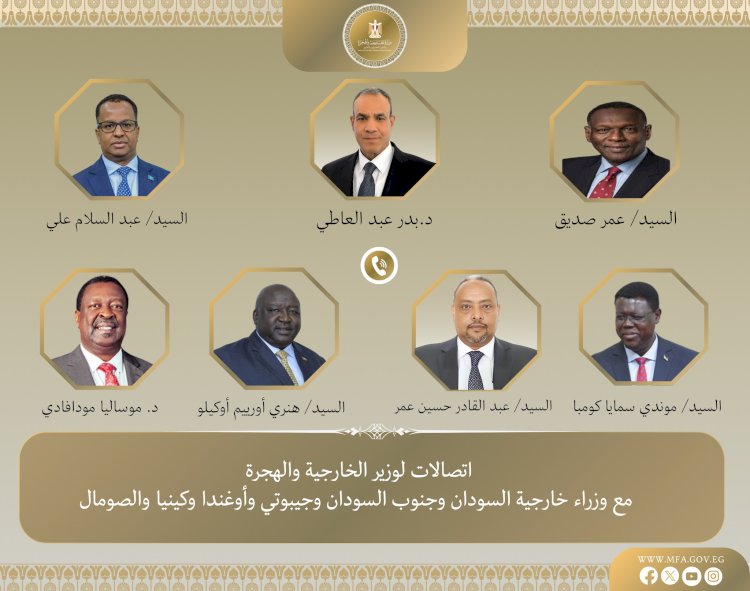 وزير الخارجية يجري اتصالات مع نظرائه بإفريقيا لتعزيز التعاون