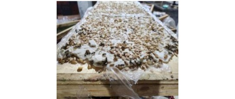 تعرف علي اماكن "حلوى المولد" مجهولة المصدر