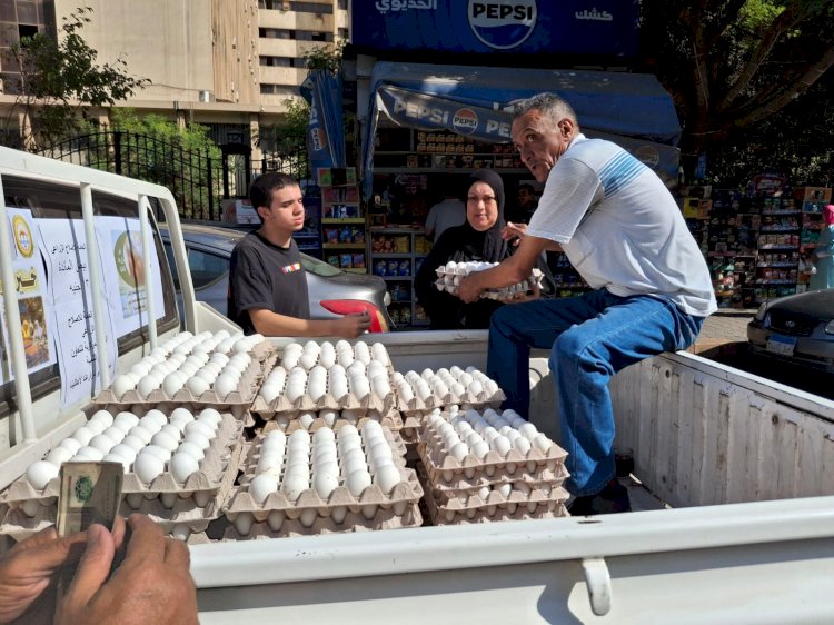 "الزراعة" تطلق 6 منافذ متنقلة لبيع بيض المائدة للمواطنين بأسعار مخفضة في محافظتي القاهرة والجيزة