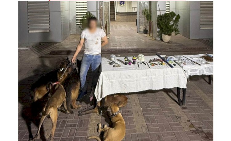 اعرف قصة إستخدام الكلاب الشرسة في تجارة المخدرات بالقاهرة 