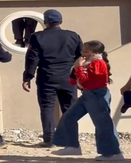 اعرف قصة انقاذ" قطة" المنيا