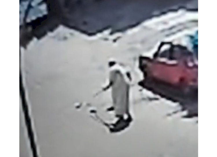 اعترافات المتهم بضرب "الكلاب الصغيرة" بالقاهرة