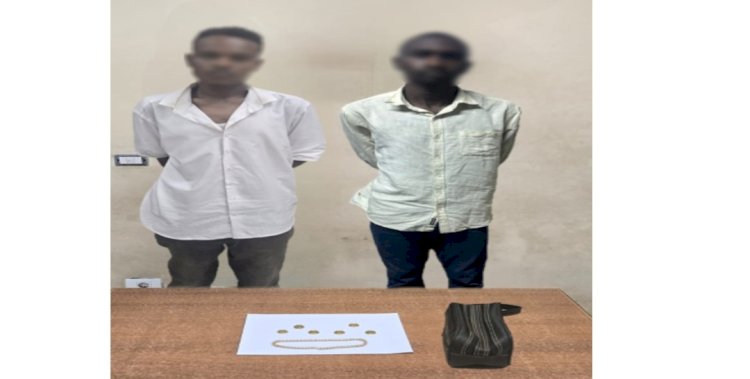 اجنبيين حطما زجاج سيارة وسرقا محتوياتها بالجيزة