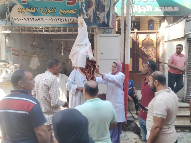 بيطري المنيا : ضبط لحوم مخالفة خلال حملات تفتيشية
