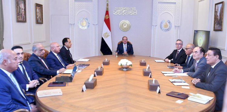 السيسي يستقبل رئيسي سكاتك النرويجية و"صنجرو" الصينية