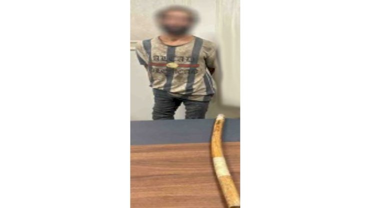 ضبط عاطل تعدي على سائق  بعصا خشبية بالجيزة