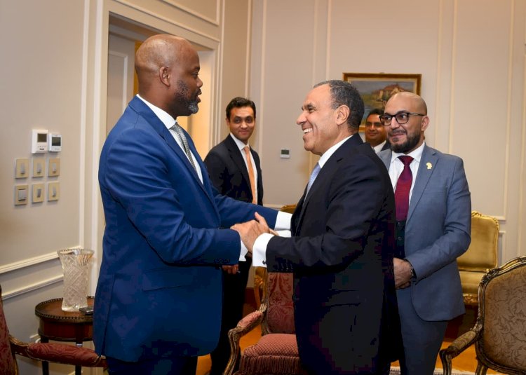وزير الخارجية يلتقي سكرتير عام منطقة التجارة الحرة القارية الأفريقية