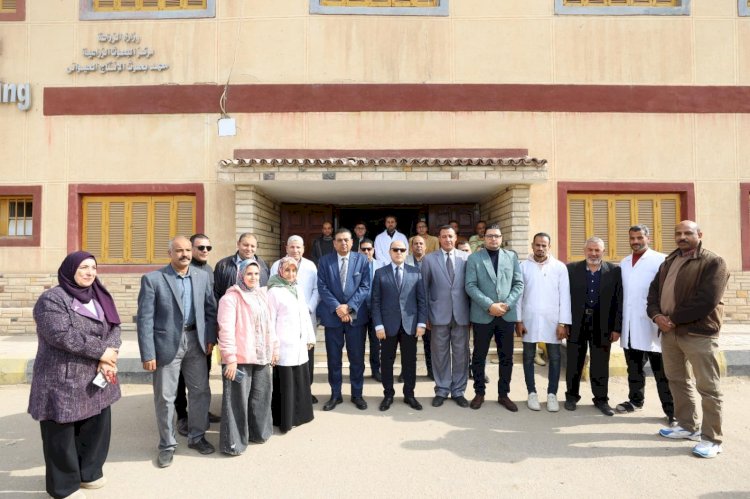 حصاد عام.. لمحافظة كفرالشيخ بقيادة علاء عبد المعطي