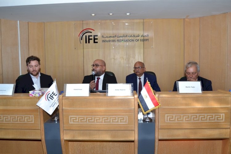 لجنة التعويضات العامة باتحاد شركات التأمين المصرية تنظم ورشة عمل متخصصة