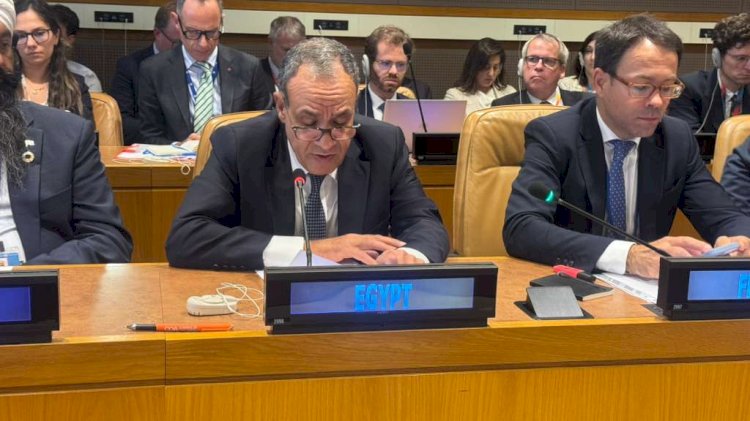 وزير الخارجية يشارك في اجتماع لجنة التواصل بشأن فلسطين AHLC