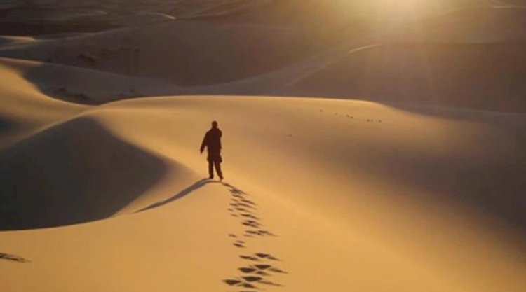 أنت المعنى المقصود بقلم زينة البصري - العراق