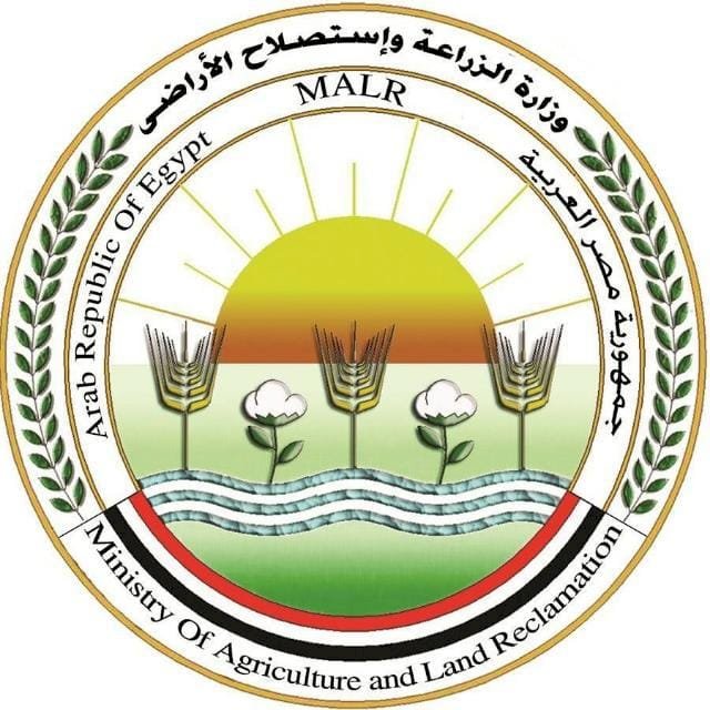 الزراعة:  دعوات الامتناع عن إطعام الكلاب الضالة  سلوك مخالف للشرع والقانون
