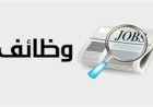 طرح 14,486 فرصة عمل في 4 محافظات