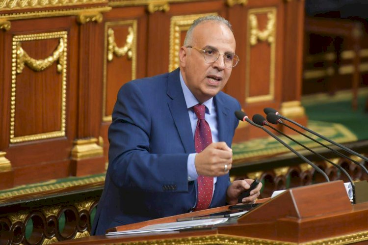 وزير الري يشرح في اجتماع الحكومة تداعيات فيضان النيل واستعدادات المواجهة