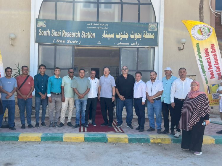"بحوث الصحراء"  يستقبل وفدًا صينيًا بمحطة بحوث جنوب سيناء