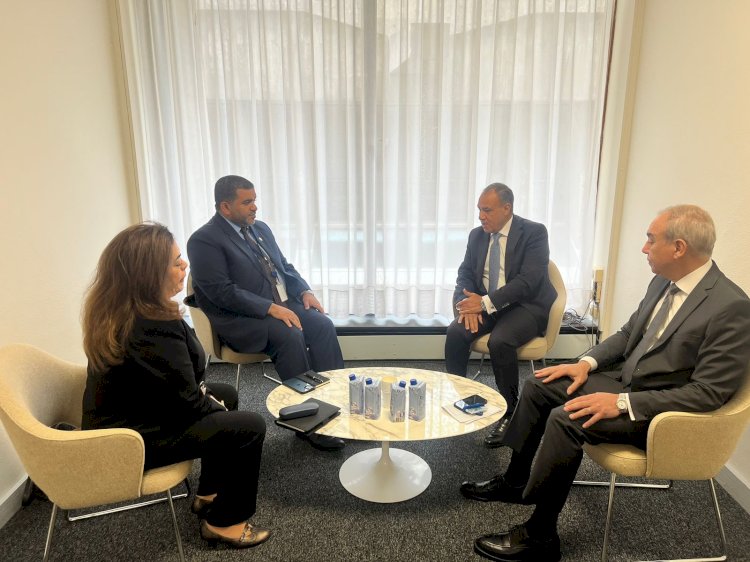 وزير الخارجية يلتقي المندوب الدائم لدولة الإمارات لدى اليونسكو