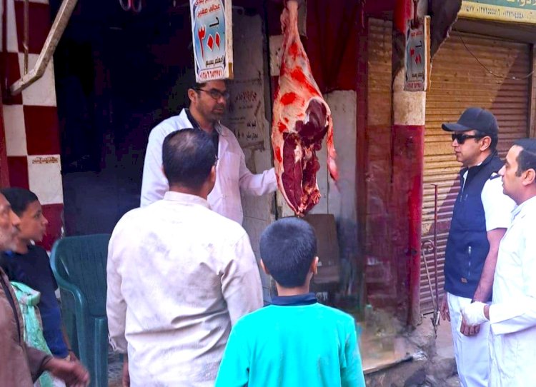 ضبط 197 كيلو لحوم وأسماك غير صالحة للاستهلاك الآدمي بسوهاج